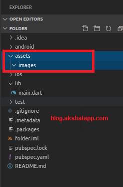 Flutter Assets Images